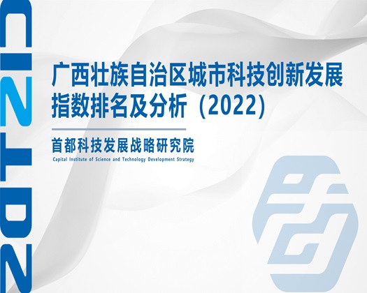 插操干逼网址【成果发布】广西壮族自治区城市科技创新发展指数排名及分析（2022）